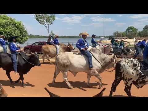Cavalgada de cana brava do Norte MT