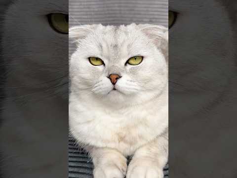 Sonya is definitely smarter than me🥲Watch it to the end