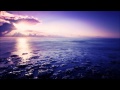 Sun in Arms - Stay Near (Original Mix) 