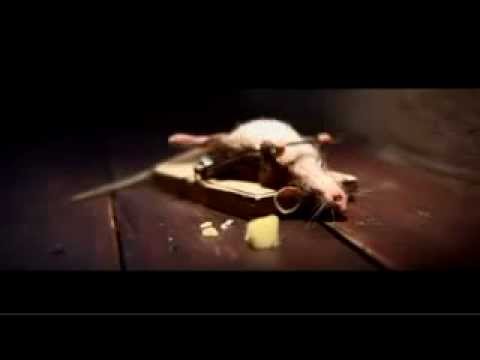 никогда не сдавайся