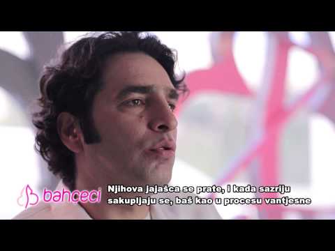 Šta je vantjelesna oplodnja bez lijekova, kome se preporučuje?