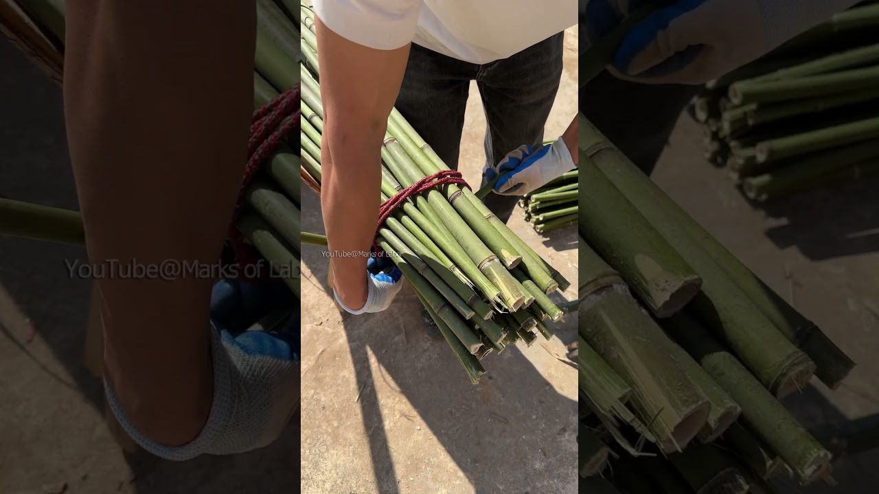 चीजों को बांधने का एक सरल नया तरीका।