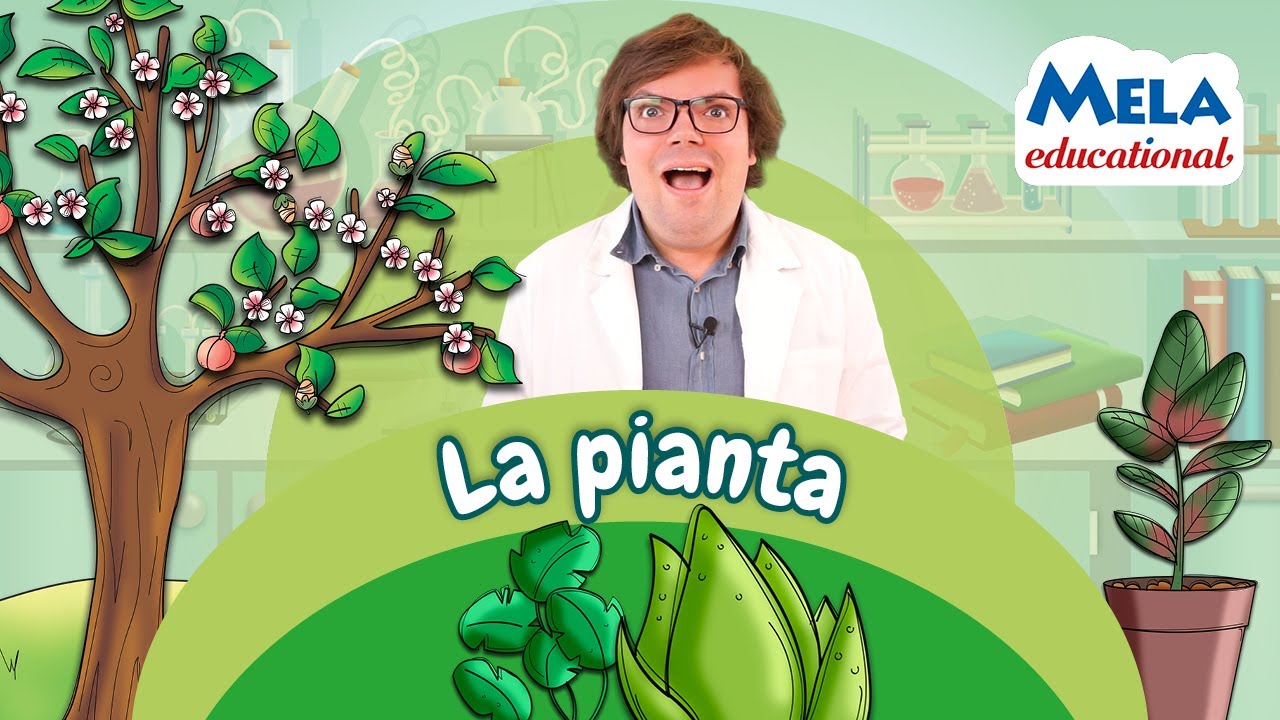 Watch Now La struttura della pianta - Renato lo scienziato Educational @MelaMusicTV  La struttura della pianta - Renato lo scienziato Educational @MelaMusicTV 