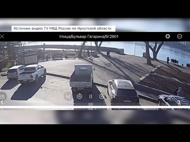 В Иркутске полицейские разбираются в случае наезда велосипедиста на щенка породы корги