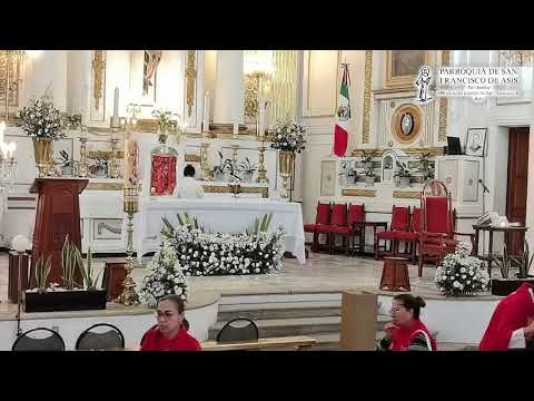 Santa Misa, en vivo desde la Parroquia de San Francisco de Asís, Pachuca, Hgo.