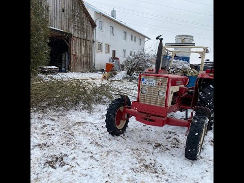 (GoPro) Baum Fällt!!! Baum Fällen mit IHC