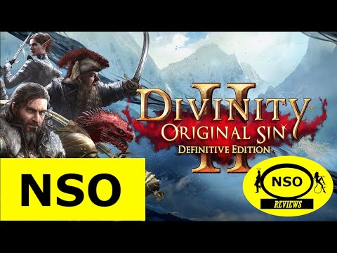 An NSO Review - Divinity Original Sin 2 Review - A real RPG