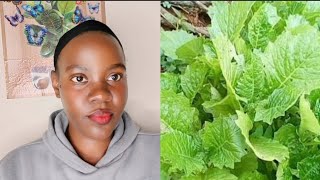 Kola etama lye mana omusajja akuwoomera 