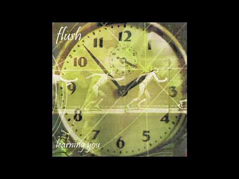 Flush - Wonderful Life