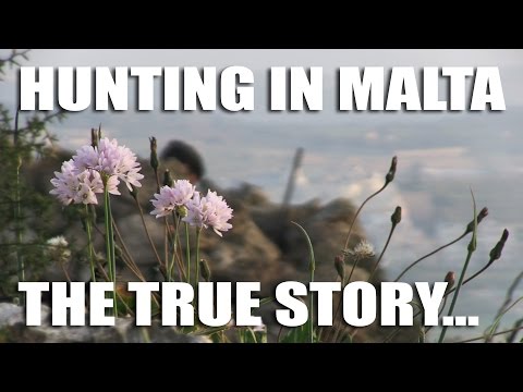 Hunting in Malta – The True Story Hunting in Malta – The True Story