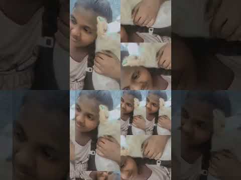 new dog 👍👍👍👍like and subscribe chaiyandee