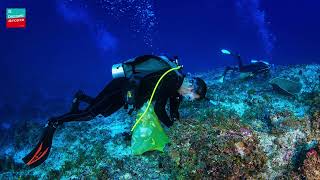 Maldive: salvare i coralli