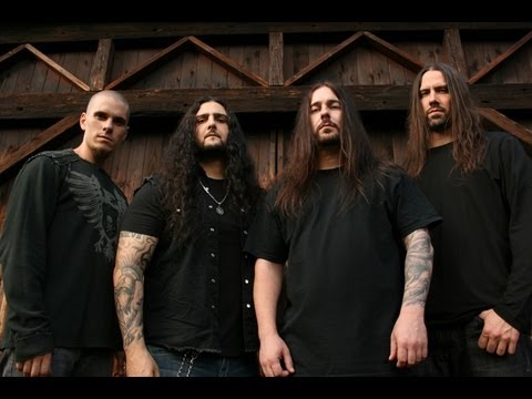 Video thumbnail for Like Animals