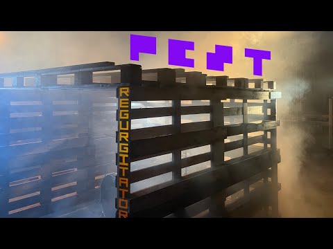Video thumbnail for Pest