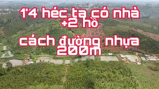 1'4 héc có 2 hồ +1 nhà cáchTL 686 tầm 200m lên được thổ cư