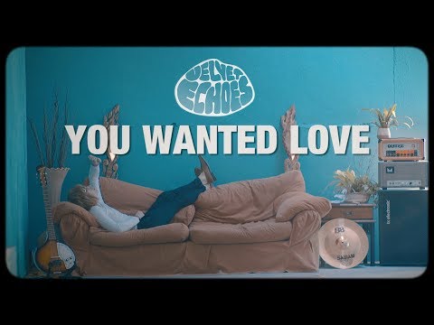 Velvet Echoes - You Wanted Love (Official Music Video)