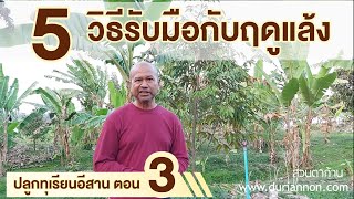สวนตาก้าน ('64) : ปลูกทุเรียนภาคอีสาน ตอน 3 l 5 วิธีรับมือฤดูแล้ง