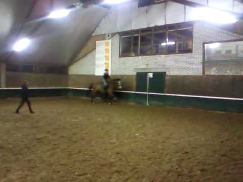 Springles IV , 24 maart 2010