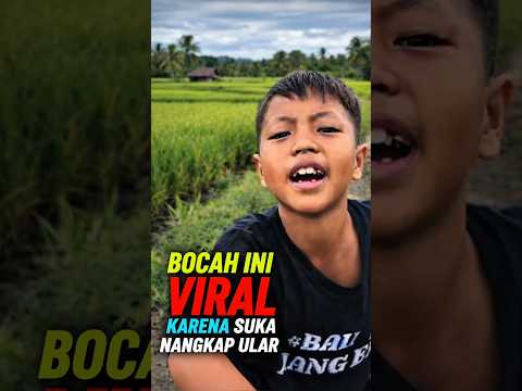 KEBAL SAMA ULAR #shorts