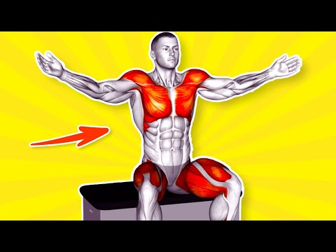 ➜ Take a Seat and Watch Your Stubborn BELLY FAT BURN OFF (Seated Workout)