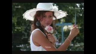 Adamo_ gute Reise schöne Rose