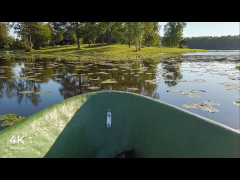 Morning on the Lake - Paddling a Boat, Relaxing Nature Video of Saruma Lake, Latvia - ASMR [4K]