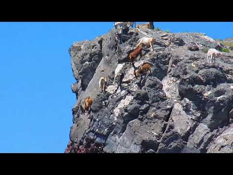 Rocky Cliff