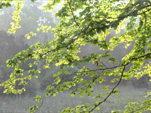 Frederiksborg Castle Gardens