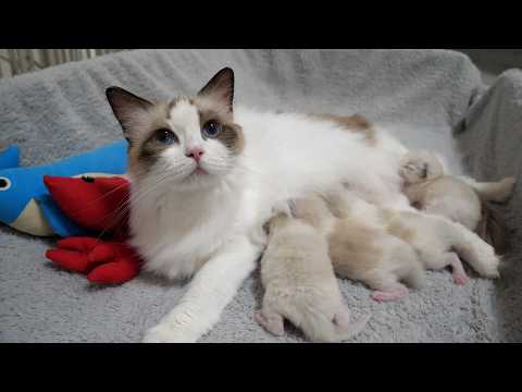 YouTube 썸네일