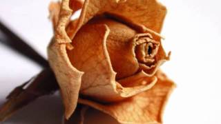 Me gusta cuando callas