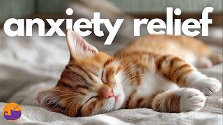 15 HOURS - Deep Anxiety Relief for Cats - ALL DAY RELAXATION 🐱✨