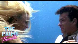 W O L F C L U B - Never Stop