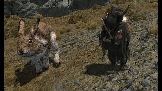 Затерявшееся в веках. Часть 2. Прохождение Skyrim №1012