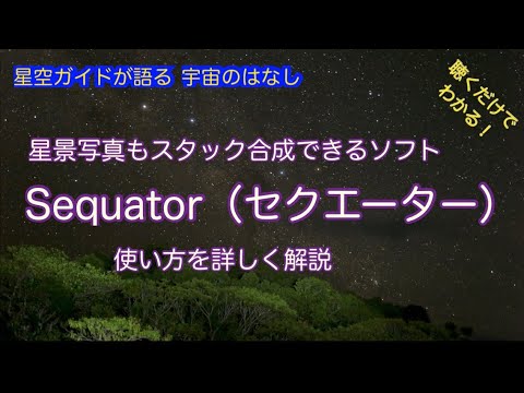 フィロスタキスについて詳しく解説