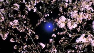 Close to You / B.T.Express (1975)