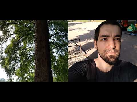 Nokia X20 5G, Video Sample (Dual Video)