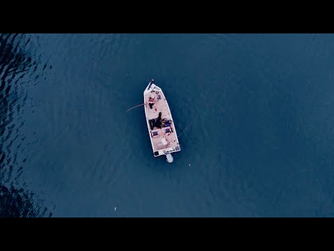 Old Burnside (Live Uncut) - Hunter Flynn