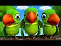 Main Tota Hindi Rhyme Children Hindi Rhyme Main Tota Main Tota Kids Channel India Hindi R