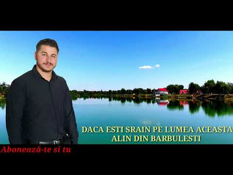 Alin din Bărbulești  dacă ești străin pe lume