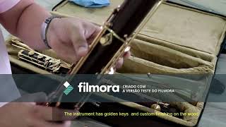 Selmer Contra Alto Clarinet   Professional   Wood with golden keys and custom case (for sale!!!)