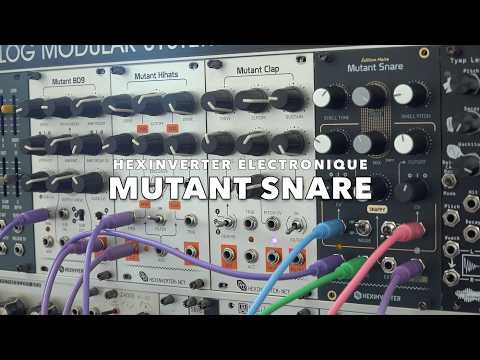 Hexinverter Mutant Snare Noir Edition - Mint Bild 3