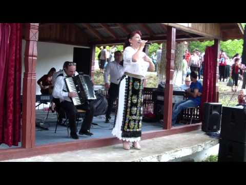 Formatia Costel Mardale si Luminita Ticleanu Spectacol Danicei Valcea (Ciresarii) 2014