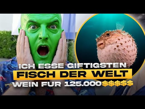 Influencer asks what EVERYONE is thinking: What does NICFLEX do for a living?