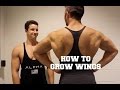 How To Grow Wings Without Redbull