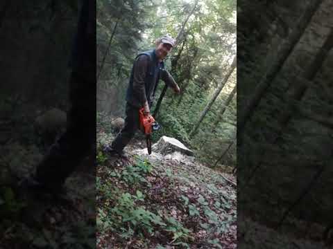 Max+ motorna testera u c emovinu💪💪💪