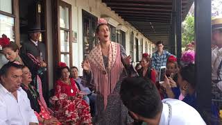 MACHUKAMBA- Es tinta y tintero (sevillana)