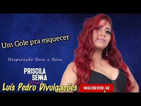 Priscila Sena - Um Gole pra esquecer - (ÁUDIO)