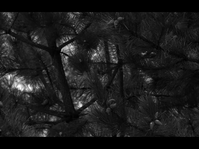Example clip from MC023MG-SY