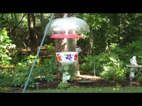 paintedseasons.com hanging bird feeder