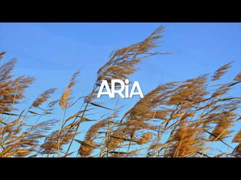 Aria acqua terra fuoco